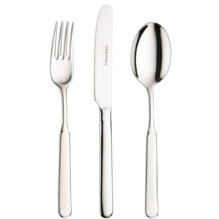 12 Coltelli pesce Casali Pintinox