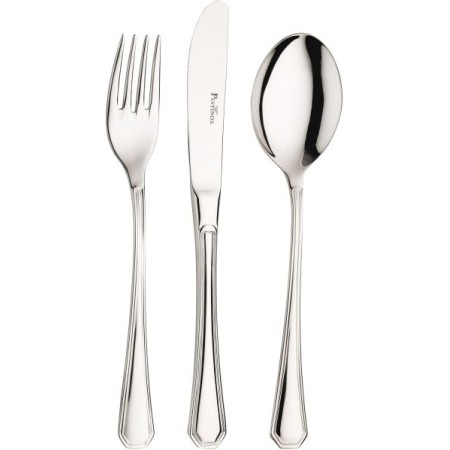 12 Coltelli tavola america Pintinox