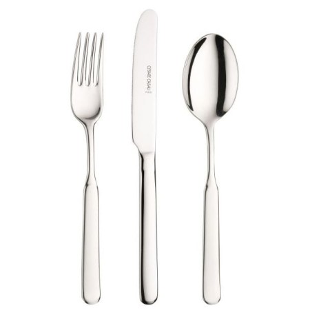 12 Coltelli tavola Casali Pintinox