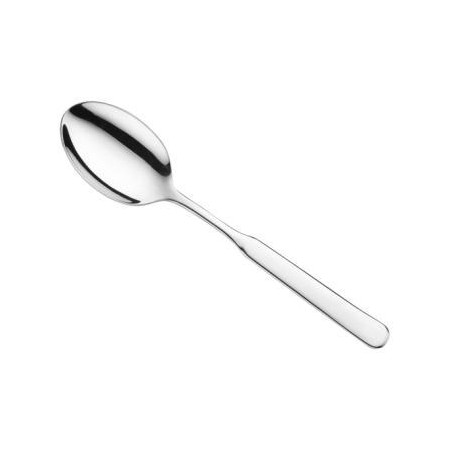 12 Cucchiai tavola Casali Pintinox