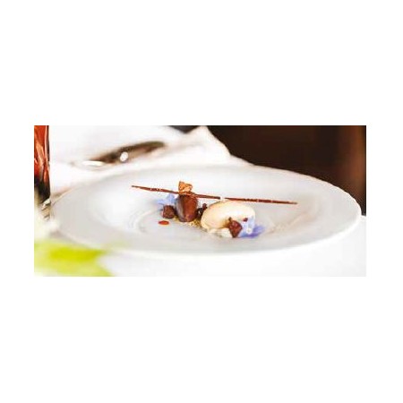 Piatto fondo cm.27 "Theatre" Vista Alegre