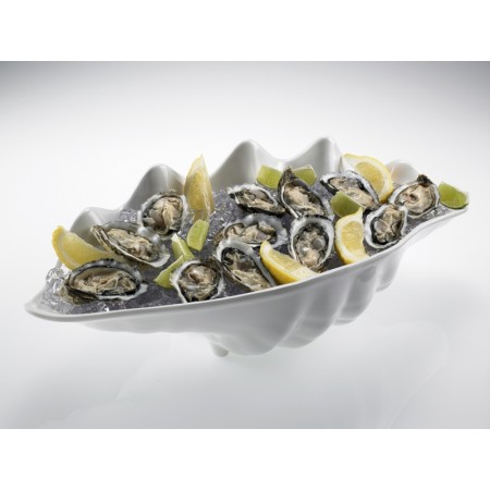 Vassoio conchiglia melamina cm 55x28x17h