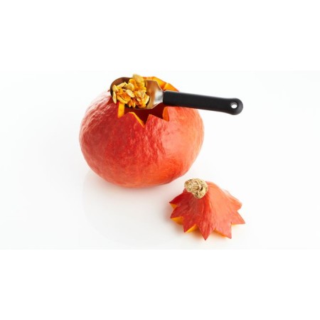 Cucchiaio per frutta/zucca