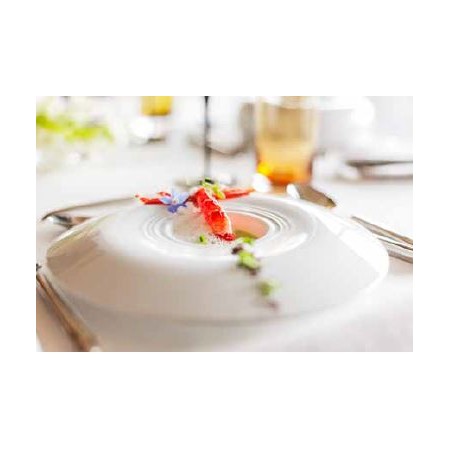 Piatto falda larga  cm 27 Theatre Vista Alegre