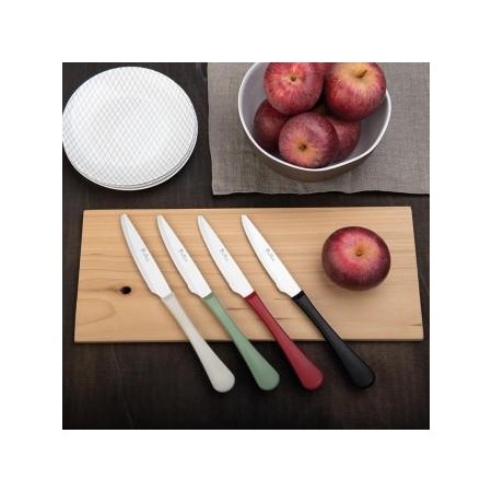 Set 6 pz coltelli tavola stresa colore rosso